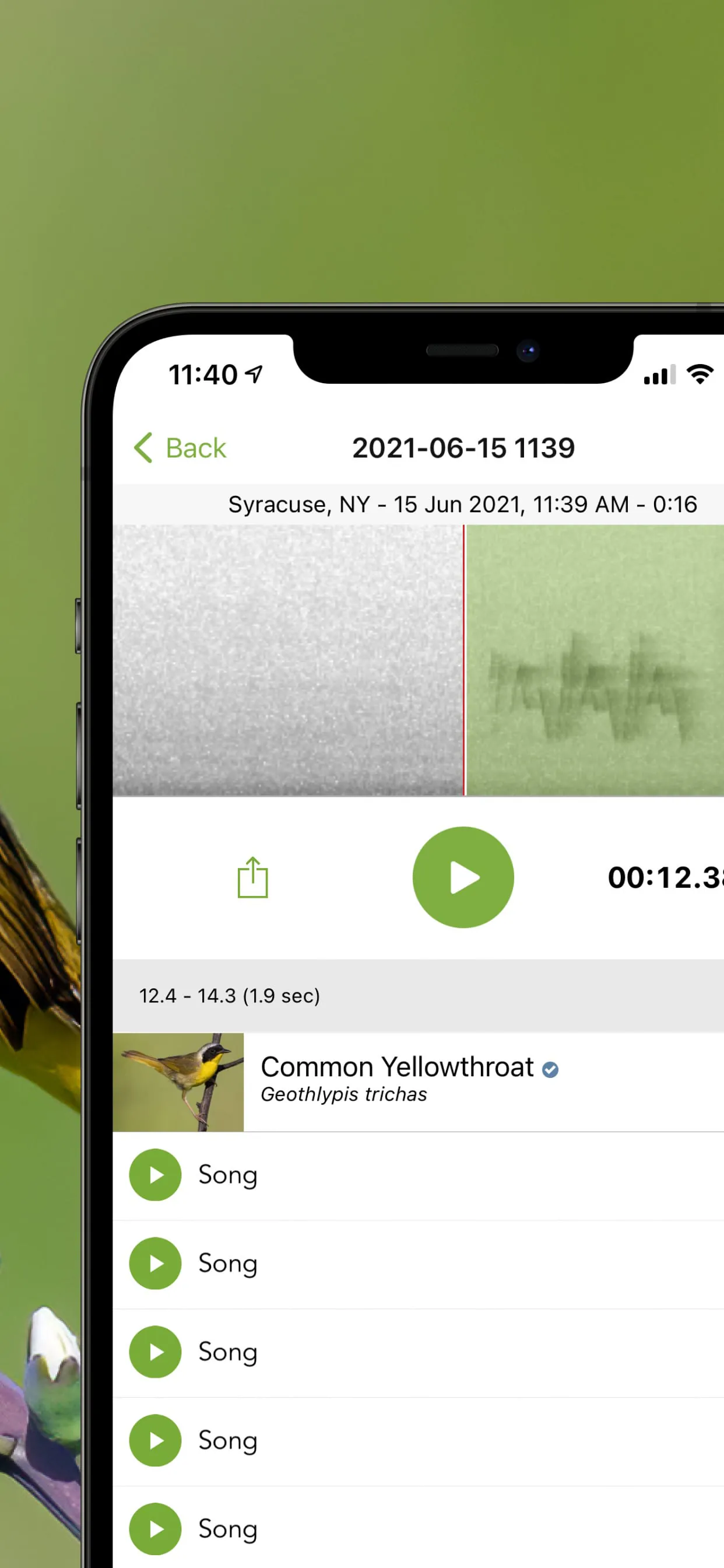 Merlin Bird ID by Cornell Lab