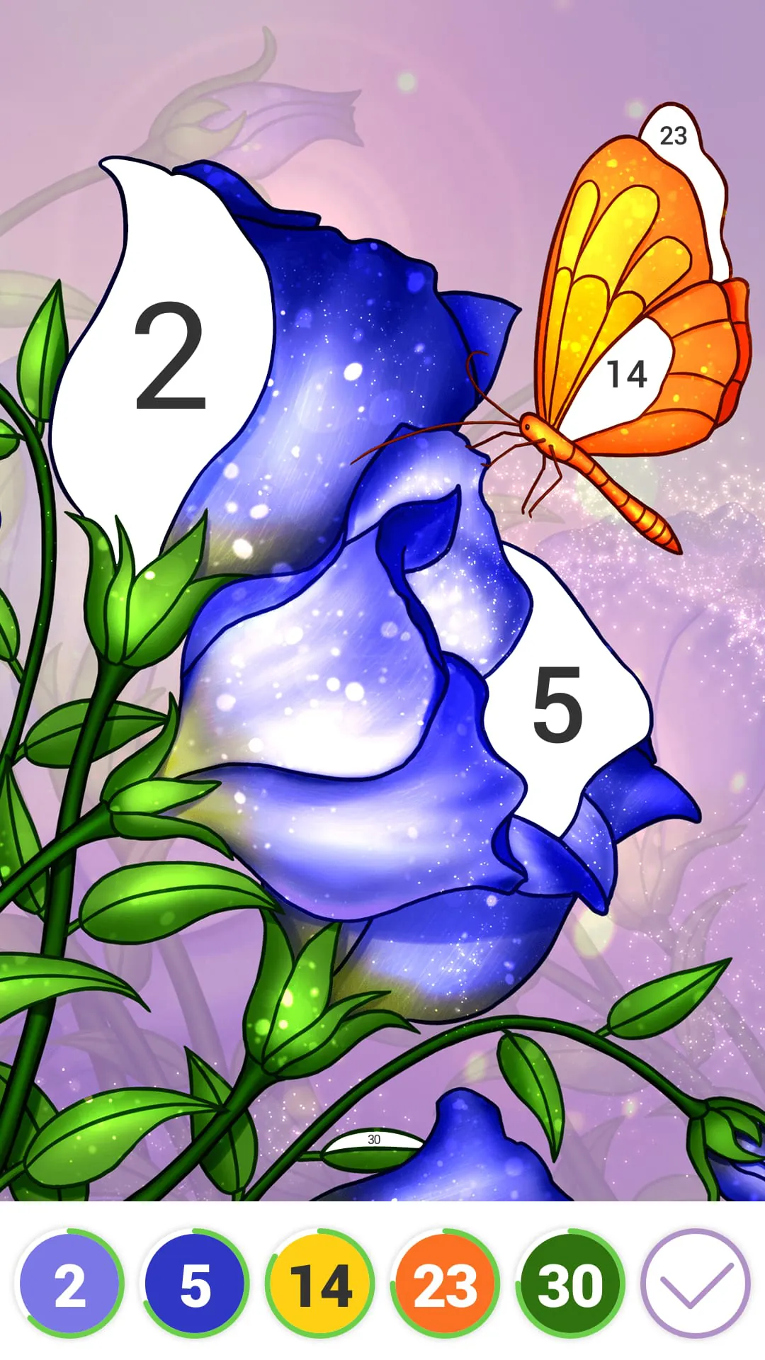 Hola Color--Coloring by Number
