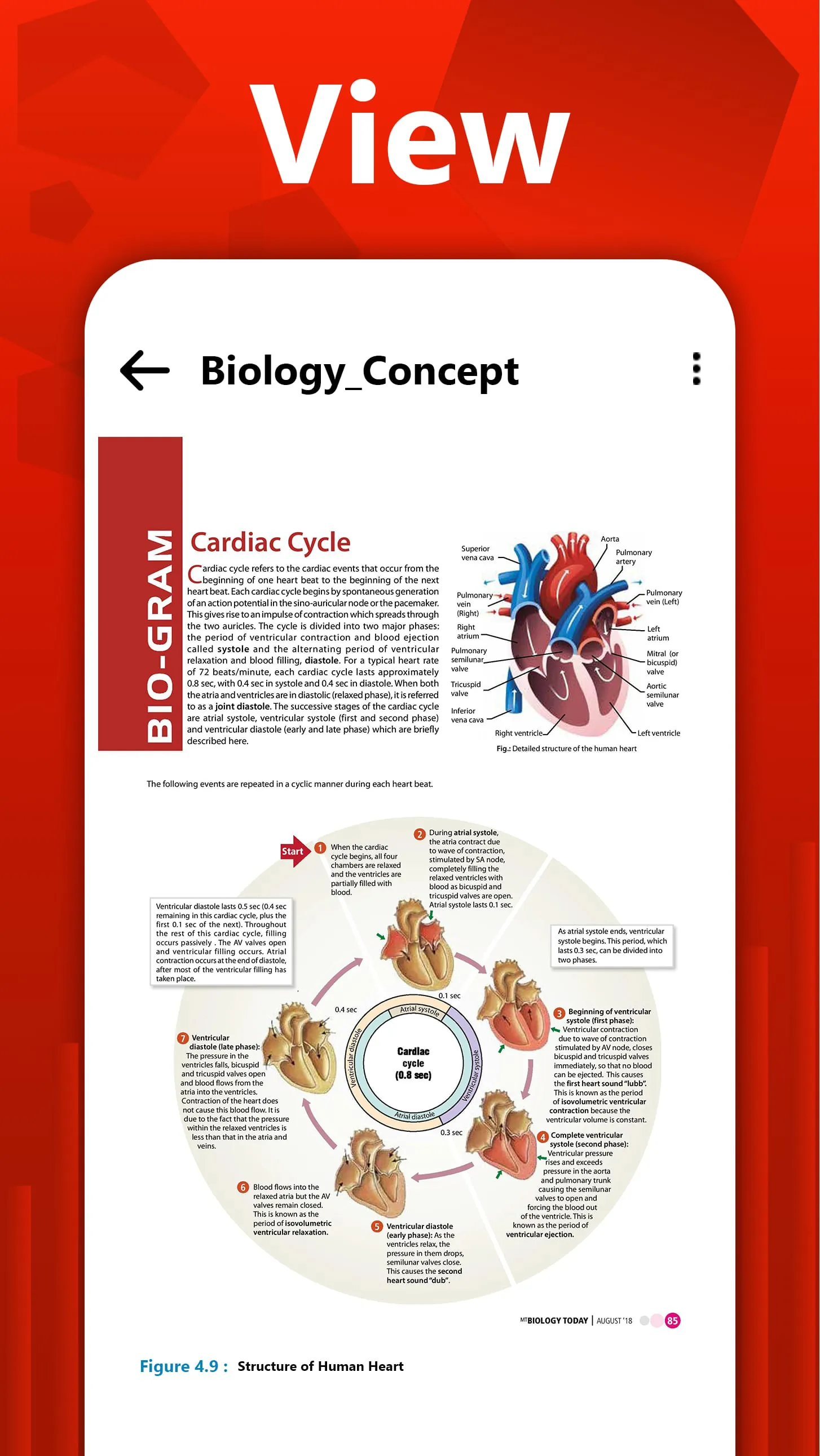 PDF Maker - Image to PDF