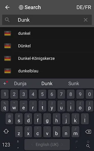 dict.cc dictionary