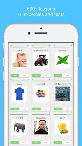 Learn Hungarian - LinGo Play