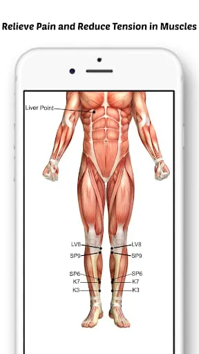 Acupressure - Self Healing TCM