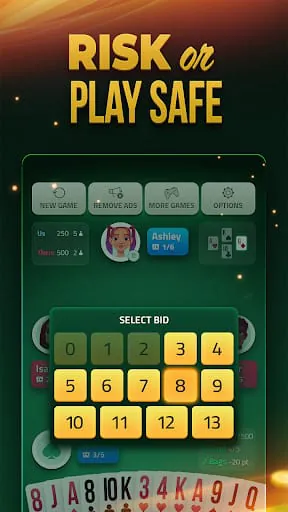 Spades Offline - Card Game