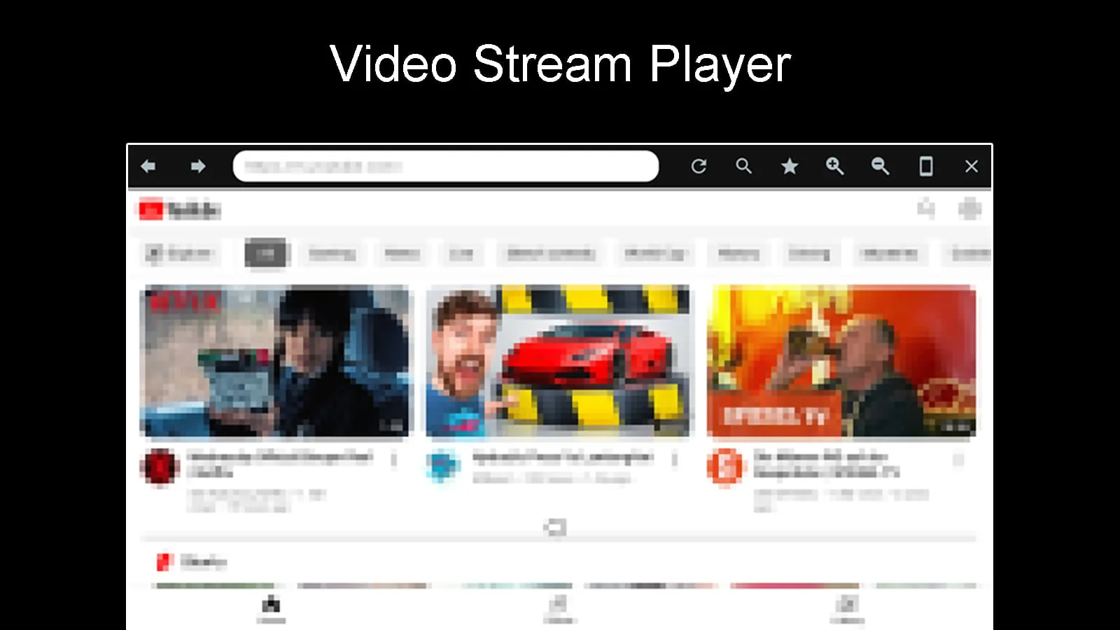 Internet Web Browser - ZEUS