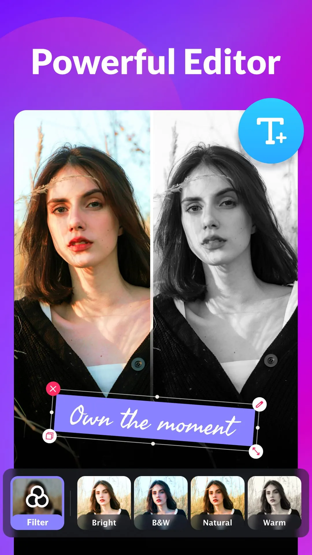 Gallery - Album, Photo Vault