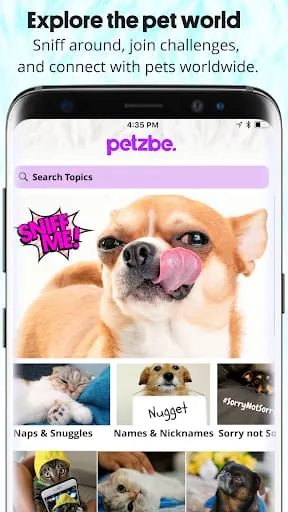 Petzbe