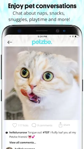 Petzbe