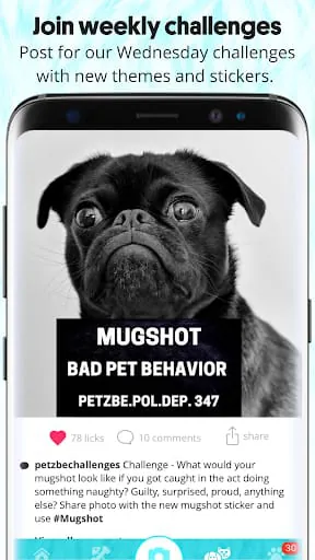 Petzbe