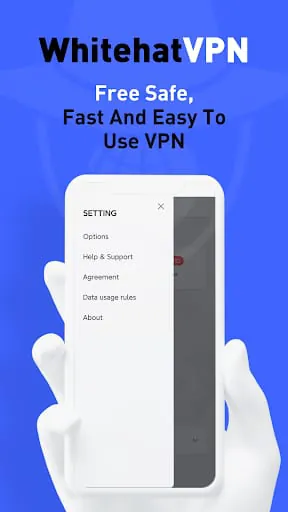 WhiteHat VPN