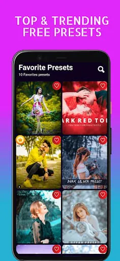Preset & Filters For LR