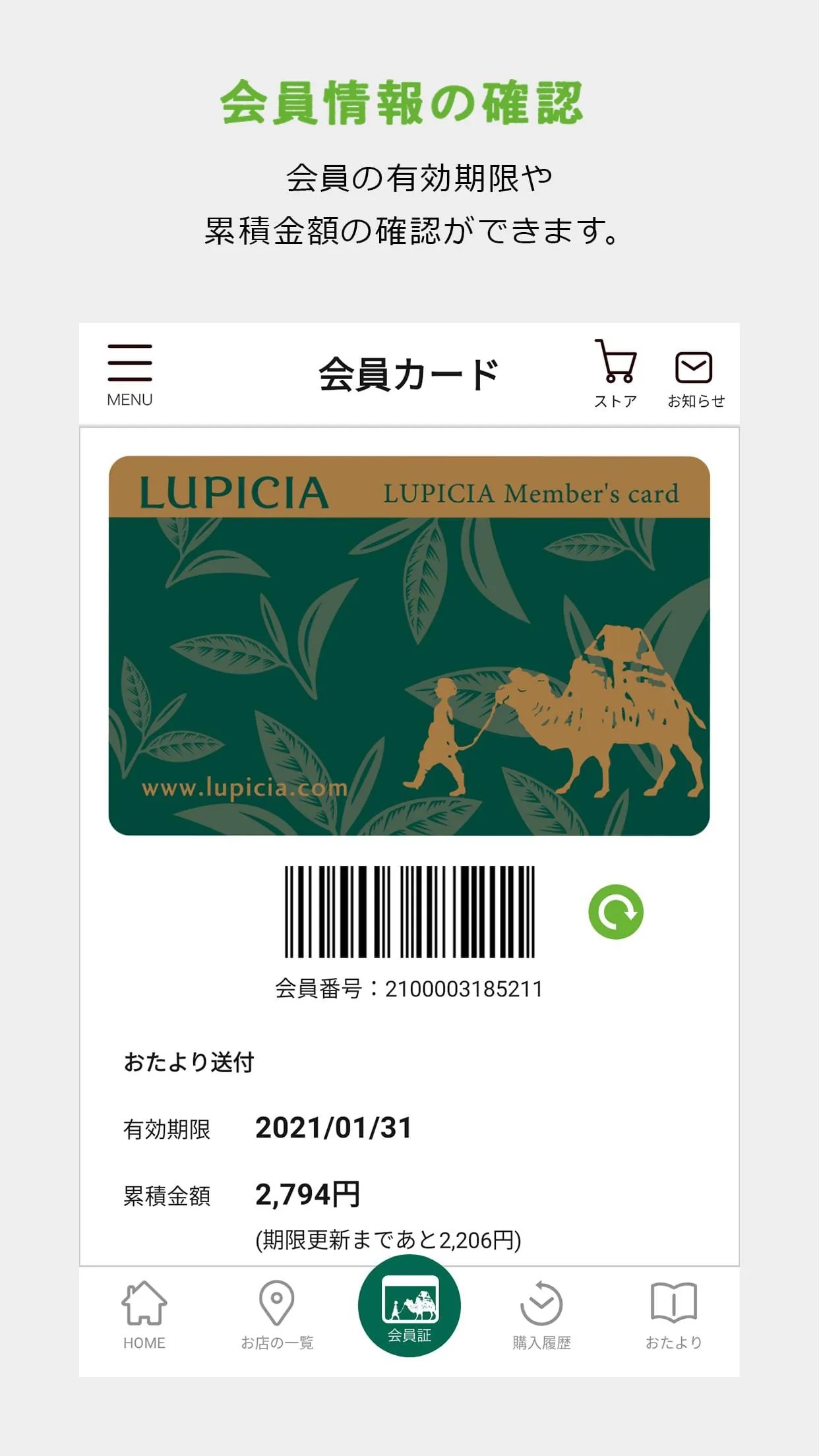 LUPICIA