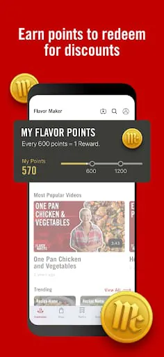 Flavor Maker by McCormick