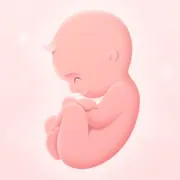 My Pregnancy - Baby Tracker