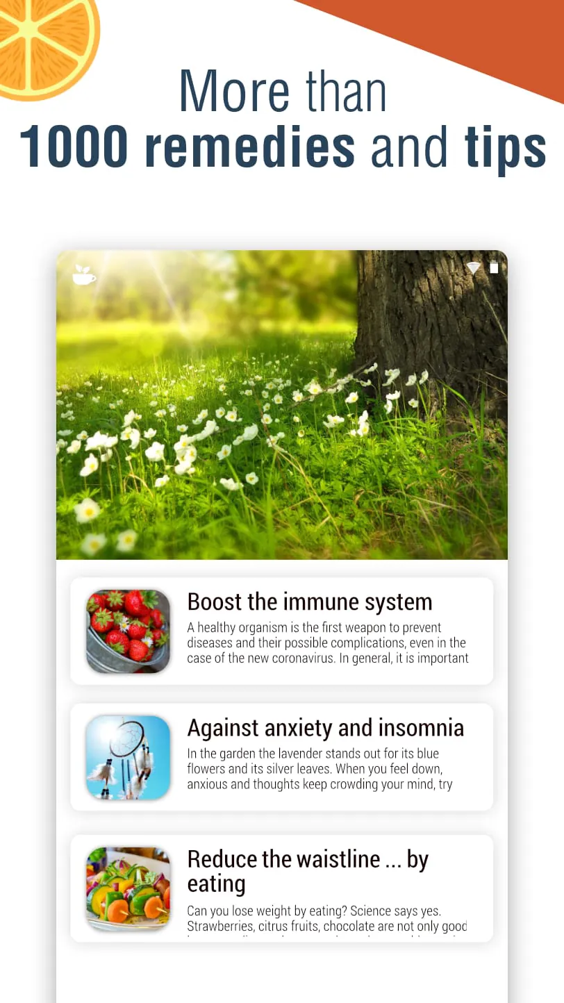 Natural Remedies: healthy life