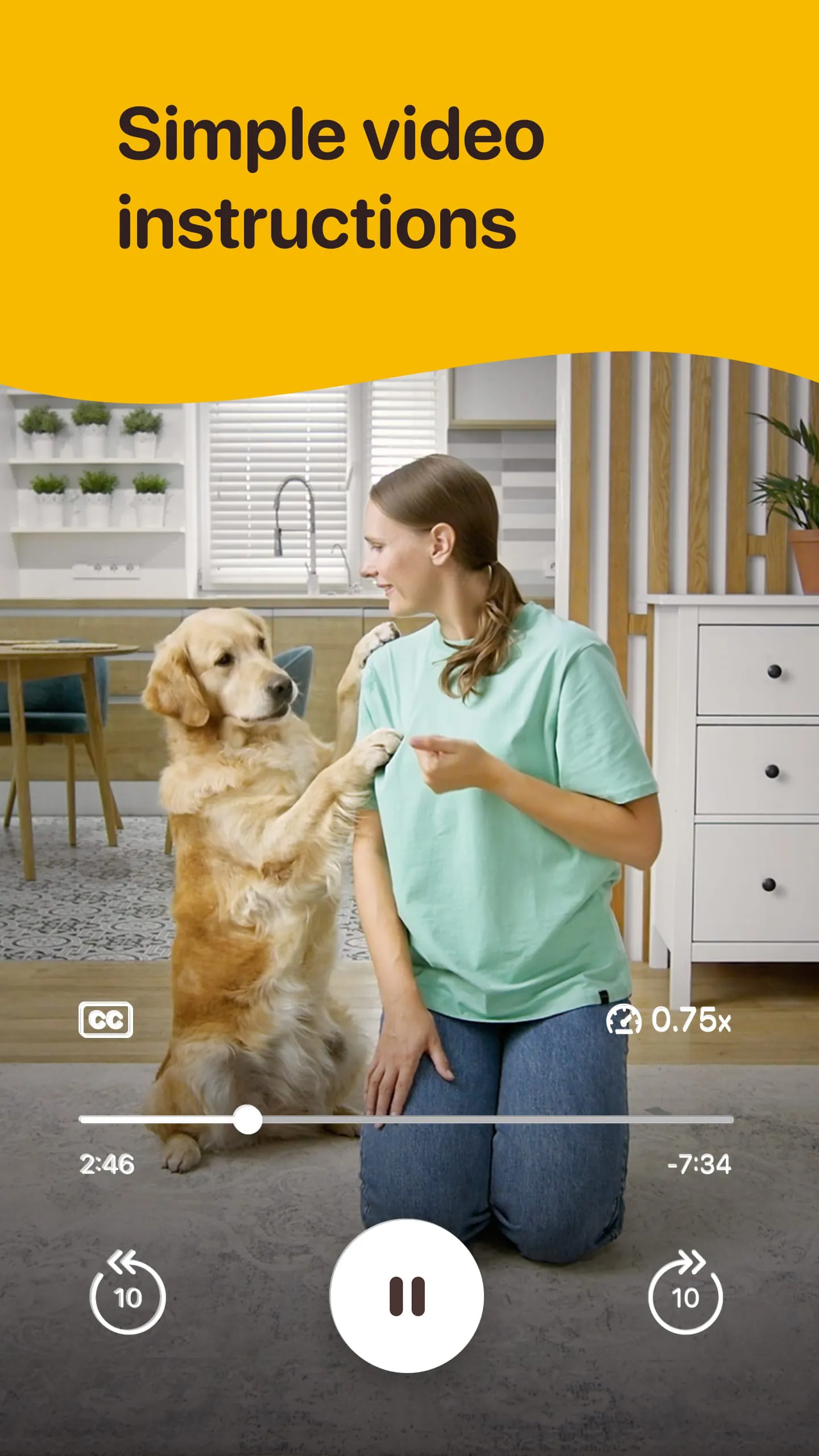 Woofz - Puppy and Dog Training