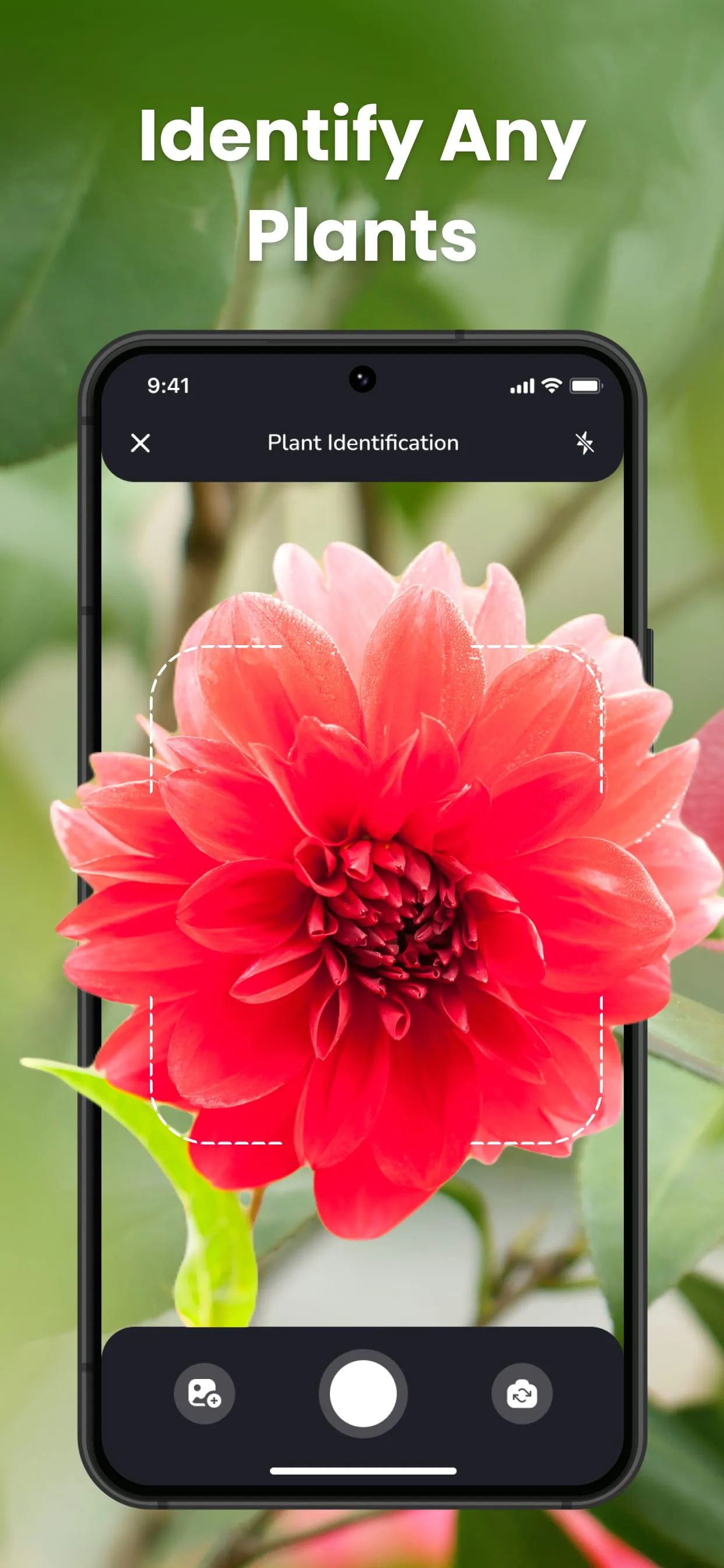 PlantIn Plant Identifier, Care