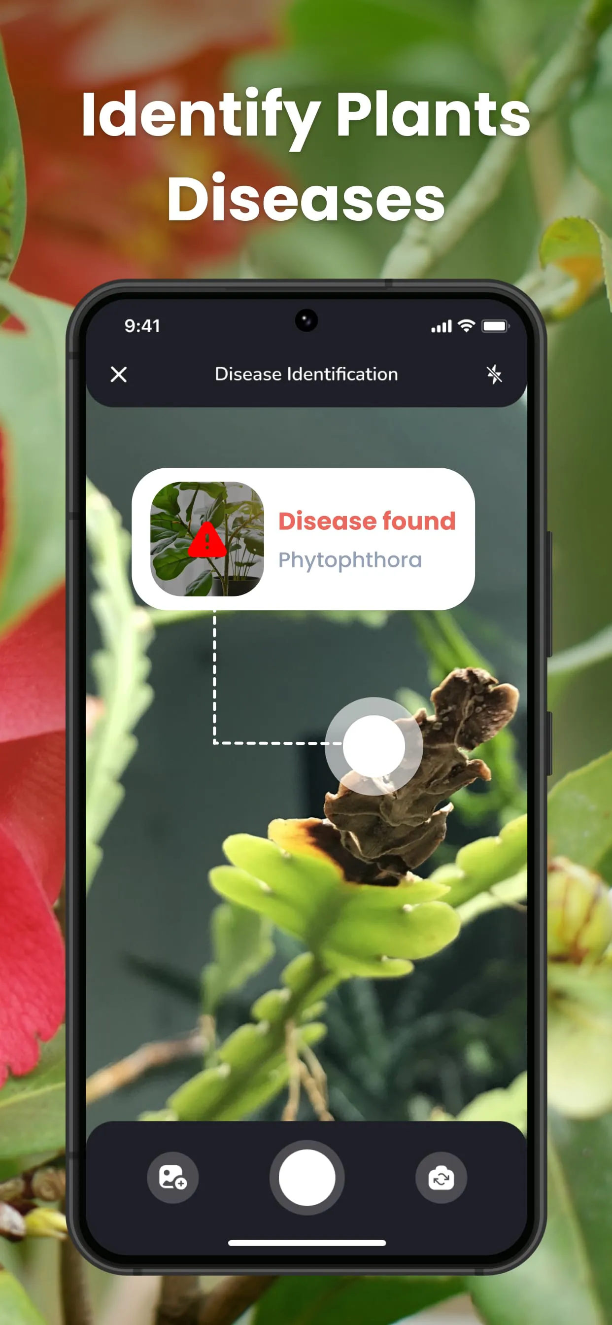 PlantIn Plant Identifier, Care