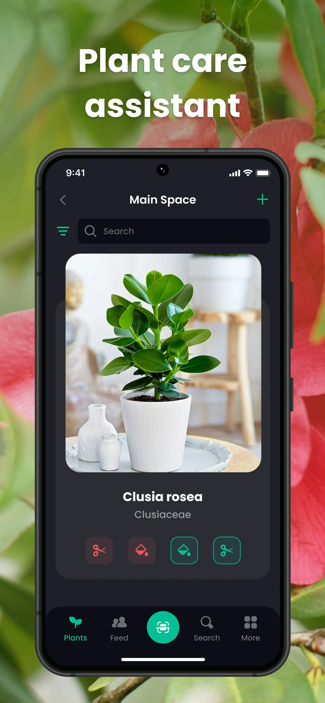 PlantIn Plant Identifier, Care