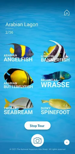 The National Aquarium