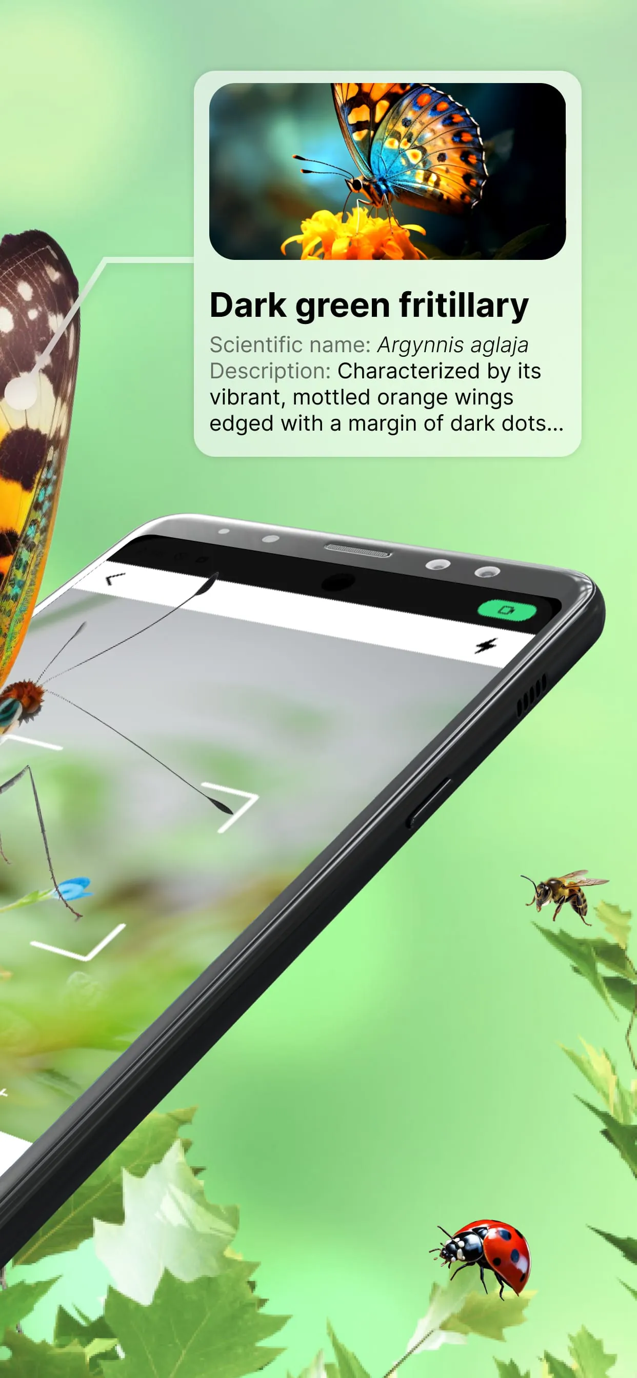Bug Identifier Bug Finder