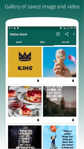 Story & Status Saver App