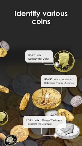 iCoin - Identify Coins Value