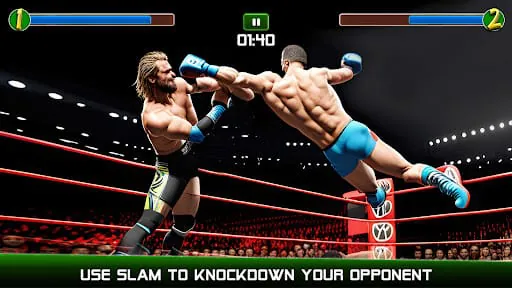 Pro Wrestling Mayhem Champions