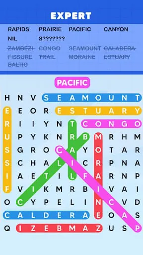 Word Search Puzzle Challenge