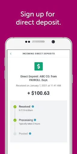 Classic Netspend
