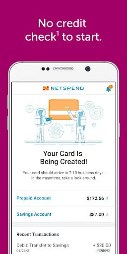 Classic Netspend