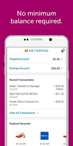 Classic Netspend