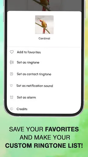 Bird Calls, Sounds & Ringtones