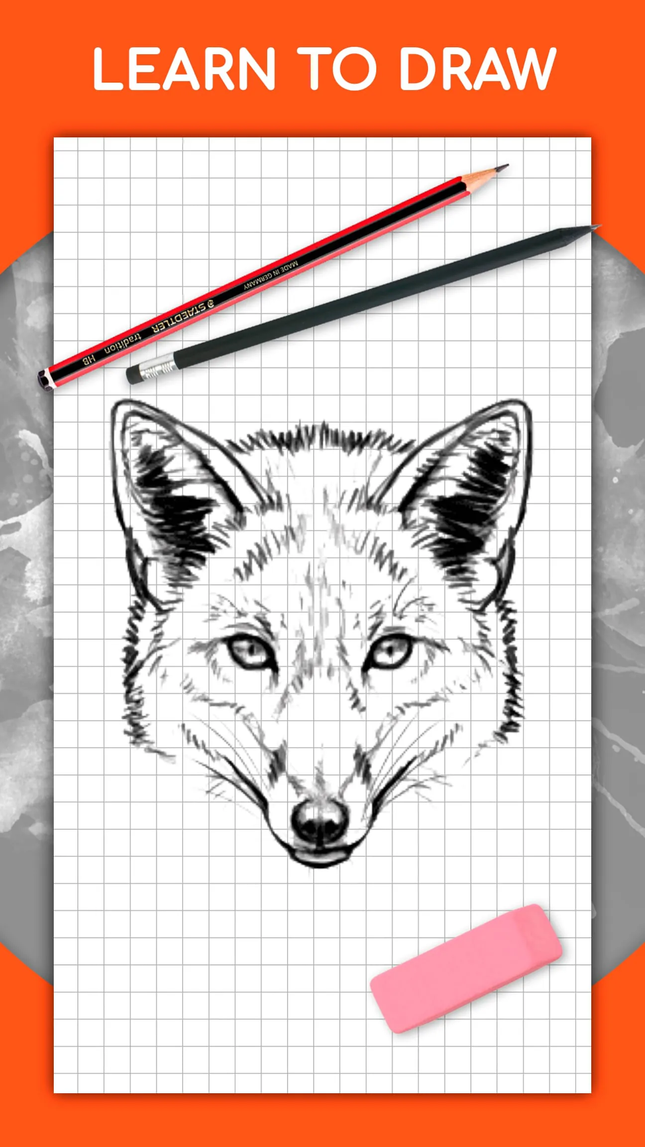 How to draw animals by steps