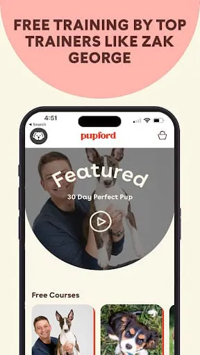 Pupford: Dog & Puppy Training