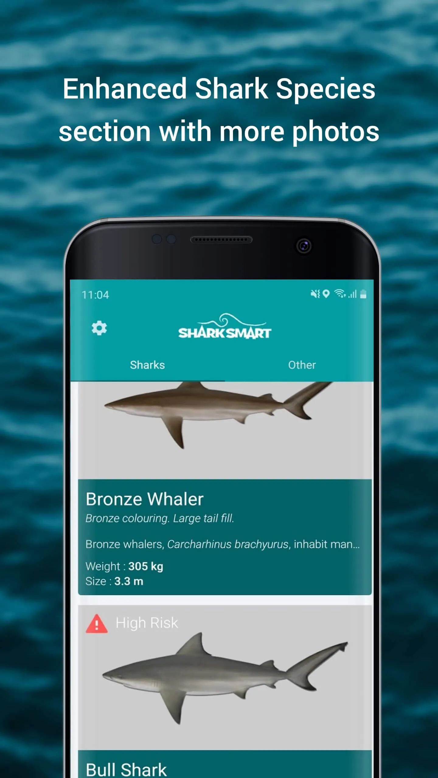 SharkSmart
