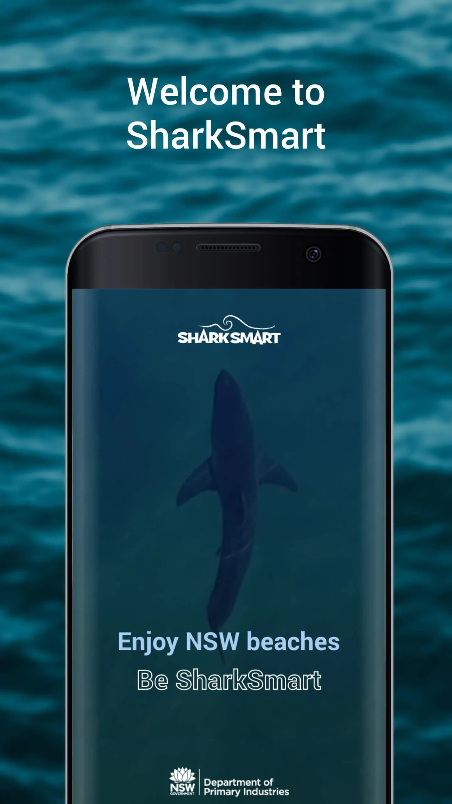 SharkSmart