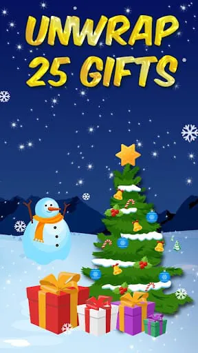 Christmas Advent Calendar 2024