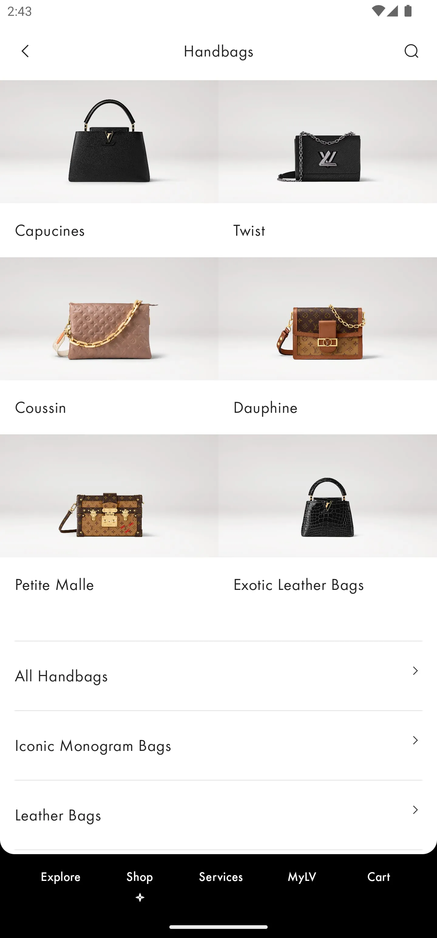 Louis Vuitton