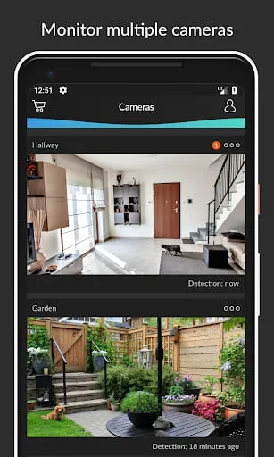 HomeWizard Cameras