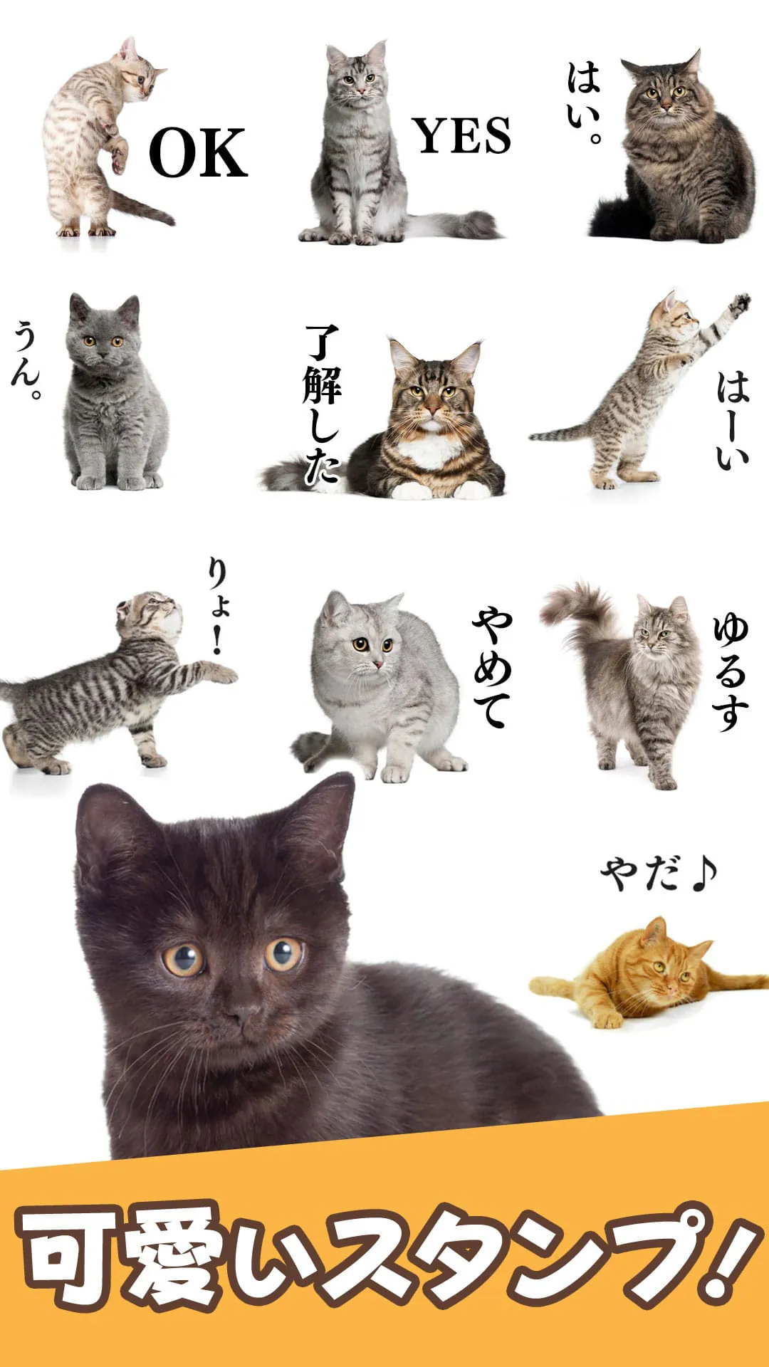 Cat Stickers