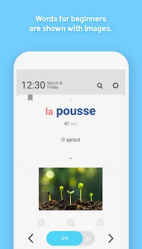 WordBit French (for English)