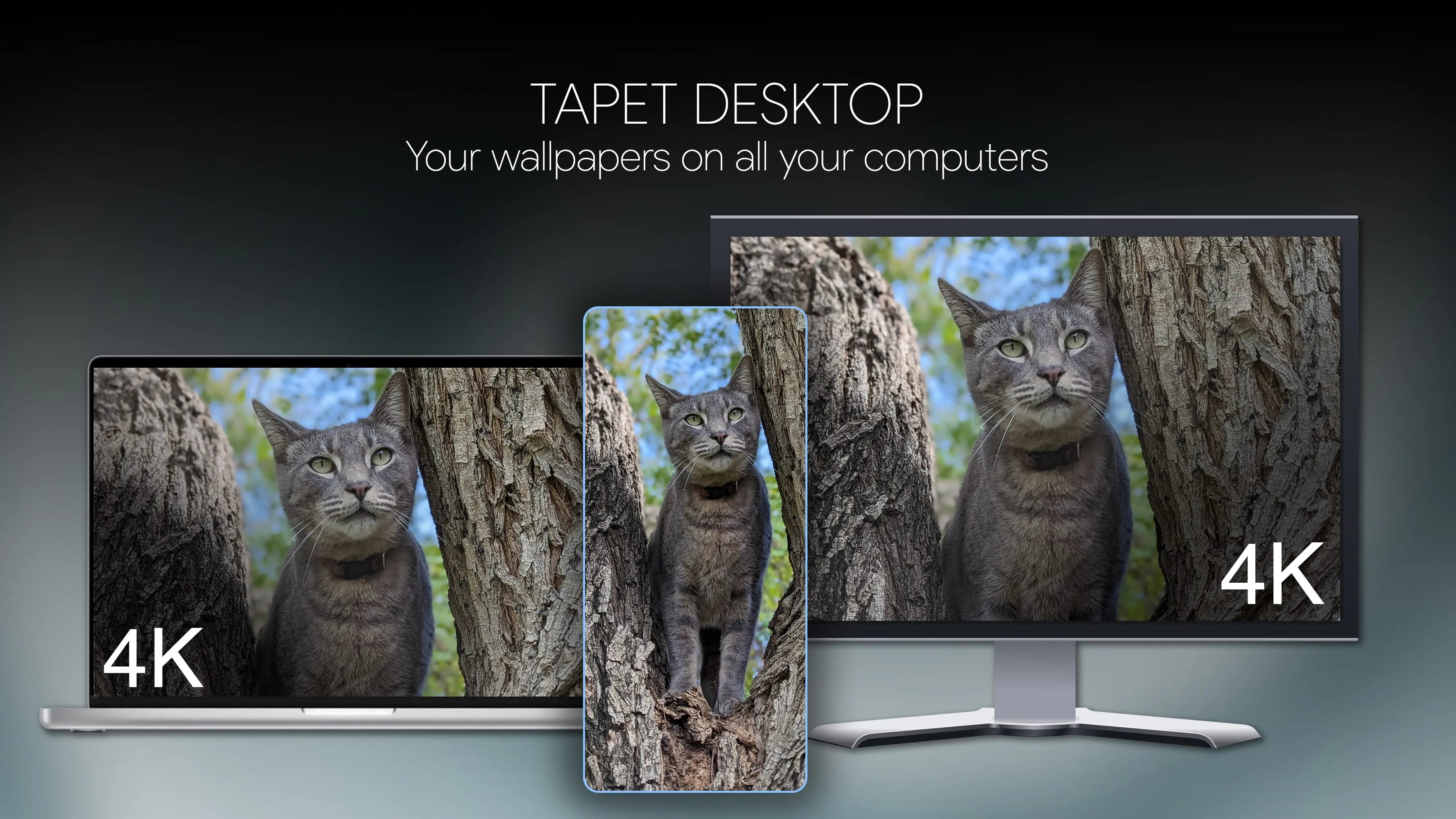 Tapet Wallpapers Generator