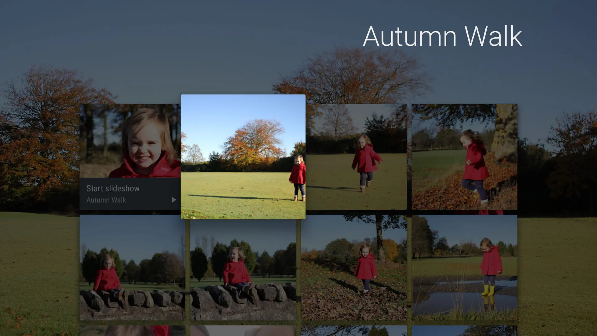 Photo Gallery and Screensaver