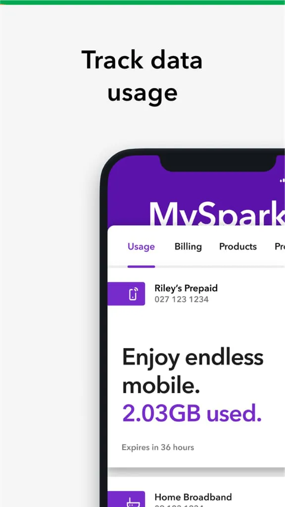 Spark NZ