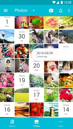 Scene: Organize & Share Photos