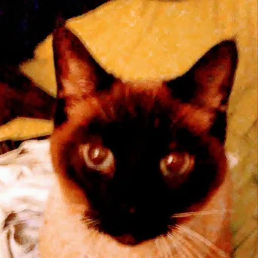 Margaret Hug