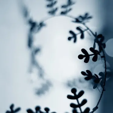 Winterislate