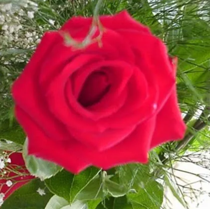 Md Omar faruk