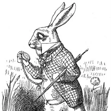 White Rabbit