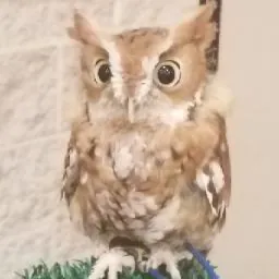 J T